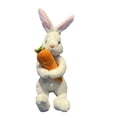thumbnail image 1 of KUAZOU Easter Bunny Tree Topper Decorations,Stuffed Easter Bunny,Spring Plush Rabbit Hugged Carrot for Tree Basket Stuffers Holiday Home Party Supplies Decor White-10", 1 of 5