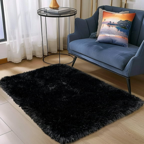 KUERR Super Soft Washable Fluffy Shaggy Rug Indoor/Outdoor Home Decor 2x3ft Solid Black