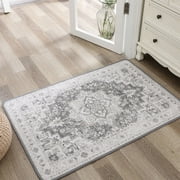 KUETH Area Rug Non Slip 2'x3' Doormat Low Pile Machine Washable Vintage Rugs, Small Chenille Entryway Mat for Entrance, Hallway, Kitchen and Bathroom
