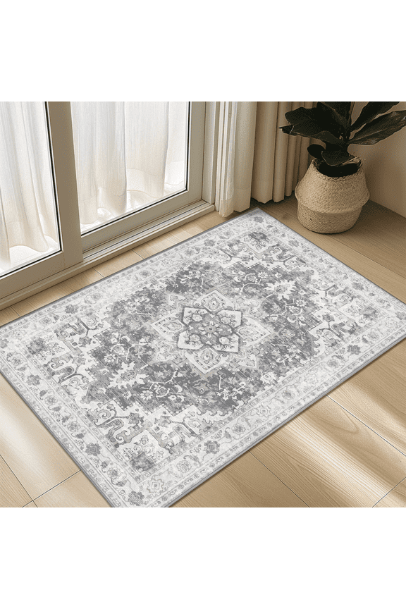 Area Rug Non Slip 2'x3' Doormat Low Pile Machine Washable Vintage Rugs, Small Chenille Entryway Mat for Entrance, Hallway, Kitchen and Bathroom