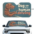 thumbnail image 1 of KUIFORTI Windshield Sunshade Block Heat and Sun UV Rays, Car Sun Visors for Windshield - Keeps Your Vehicle Cool, Cute Dog On Board Human Driving, 1 of 6