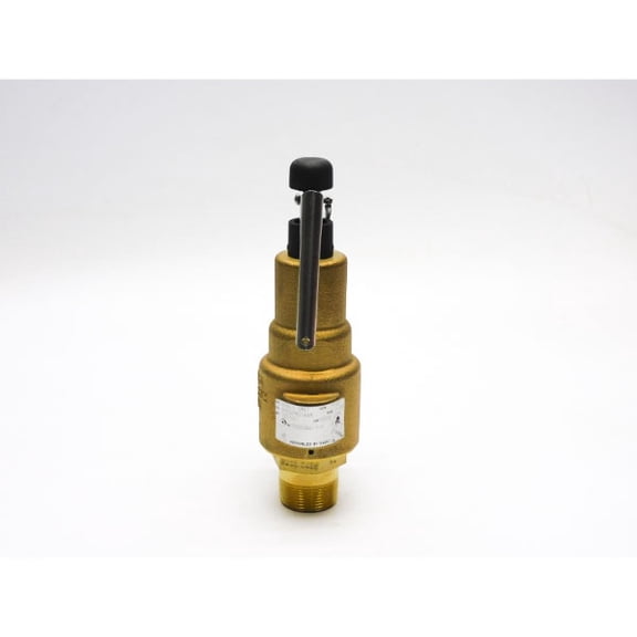 KUNKLE 6010GFM01AAM 150PSI 1-1/4" NSNP
