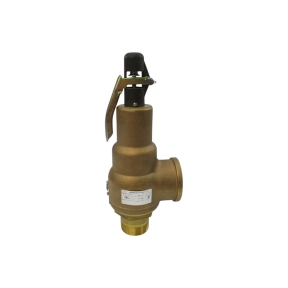 KUNKLE 6010JHM01-AM 30.0PSI 2" NSNP