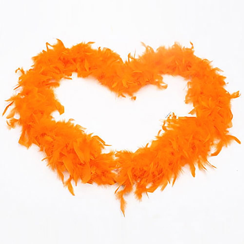KUNyu 2M Feather Boa Strip Fluffy Craft Costume Hen Night Dressup kunyu-2m-feather-boa-strip-fluffy-craft-costume-hen-night-dressup