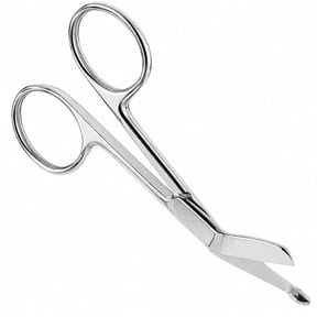 Blunt End Scissors