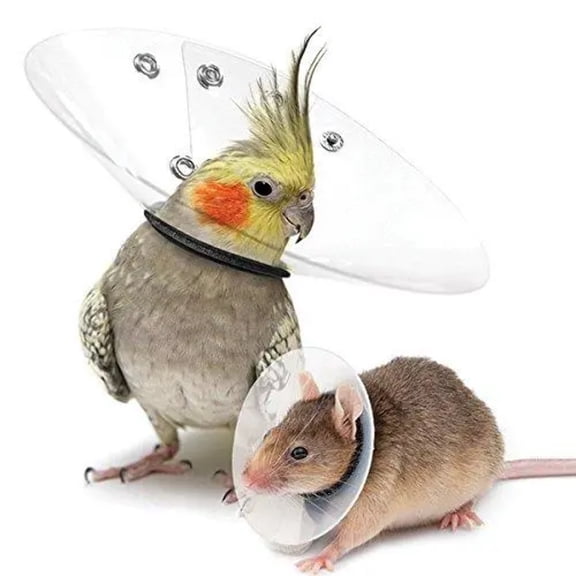 KVP Elizabethan Bird Saf-T E-Collar Avian Cone Neck Collar