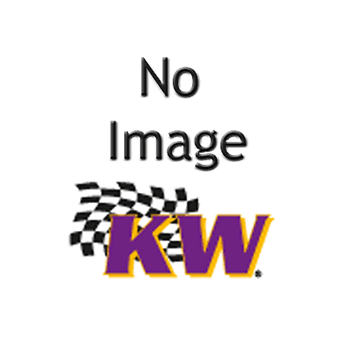 KW Suspension ESC Modules for 17-18 Honda Civic Type R - 68511079 Fits select: 2019-2020 HONDA CIVIC TYPE-R, 2021 HONDA CIVIC TYPE-R TOURING
