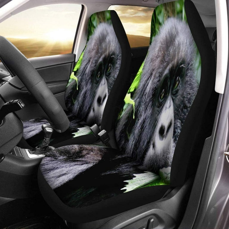 KXMDXA Set of 2 Car Seat Covers Mountain Gorilla Young Eating Leafs The  Shows Reflexion Universal Auto Front Seats Protector Fits for Car,SUV  Sedan,Truck 