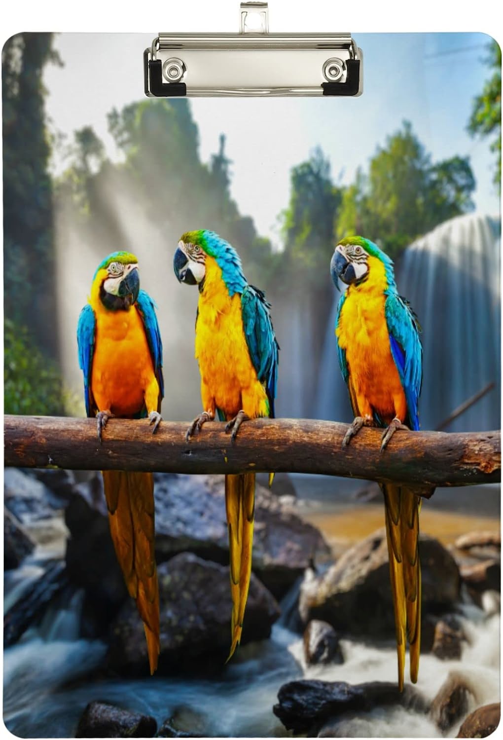 Curated visual reference: Visual Reference: Kxmdxa Tropical Waterfalls Macaw Parrot Clipboard Hardboard Wood
