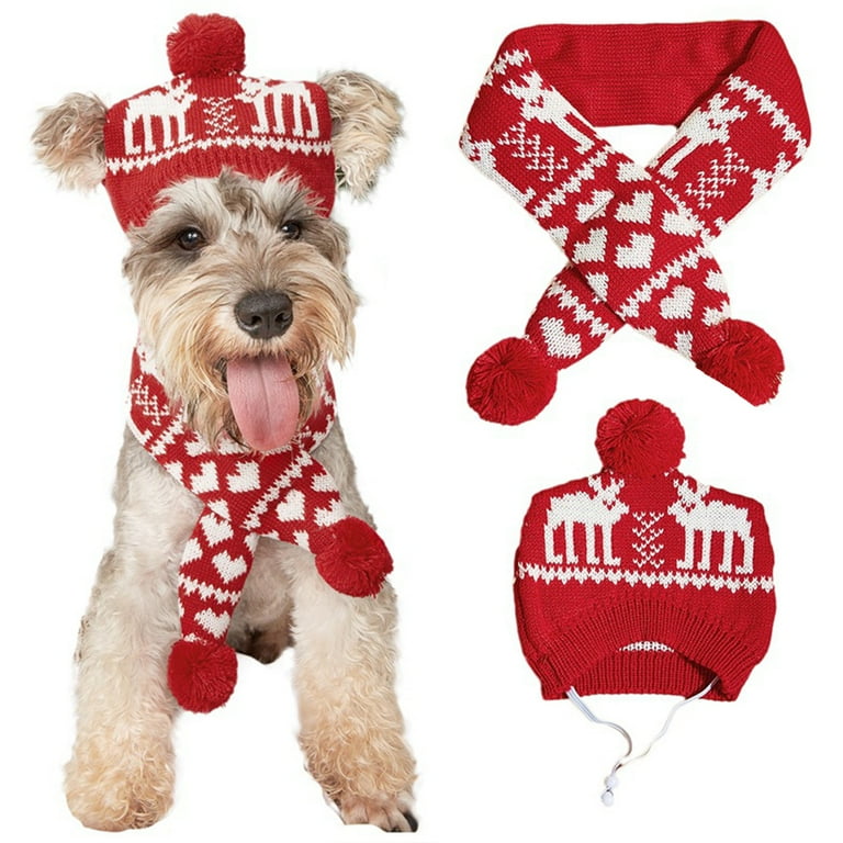 Puppy scarf online