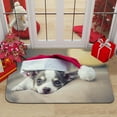 thumbnail image 1 of KYAIGUO Christmas Doormat, Cute Dog Animal Doormat Anti-Slip Carpet Floor Mat Decoration Suitable for Home Bathroom Kitchen Indoor 16x24inch, 1 of 5
