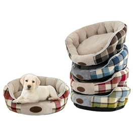 Coolaroo Elevated Large Dog Cot Bed, Brunswick Green, Indoor