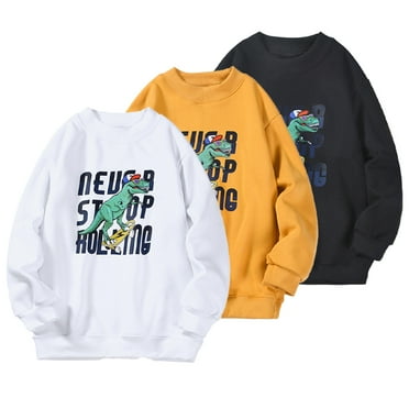 KYAIGUO Kids Baby Autumn Winter Sweatshirt Big Boys Fleece Sweatsuit Thickened Warm Tops Youth Chunky Dinosaur Print Sports Pullover for 5-13Y