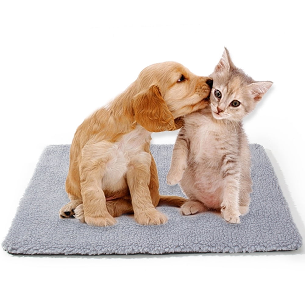 KYAIGUO Pets Self Heating Cat for Outdoor and Indoor Kittens Small Dogs
