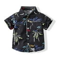 thumbnail image 1 of KYAIGUO Toddler Baby Boys Shirt Summer Beach Shirt,Kids Boys Lightweight and Breathable Button down Short Sleeve Tops,12 Months - 5 Years, 1 of 9
