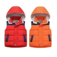 thumbnail image 1 of KYAIGUO Toddler Kids Boys Girls Hooded Fleece Vest Outwear 2-10Y Baby Zipper High Collar Sleeveless Jacket Fall Winter Vest Little Boys Girls Thickened Warm Waistcoat Coats, 1 of 8