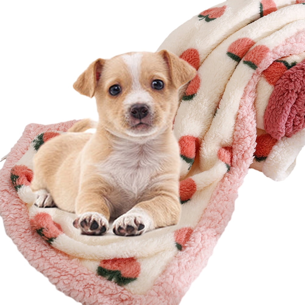 KYAIGUO Waterproof Dog Blanket for Large Medium Small Dog Soft