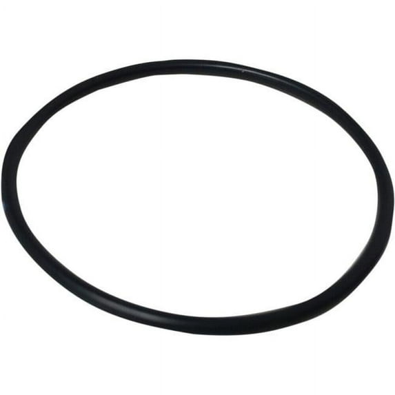 Kyb Powersports 120225000201 Shock Piston Ring
