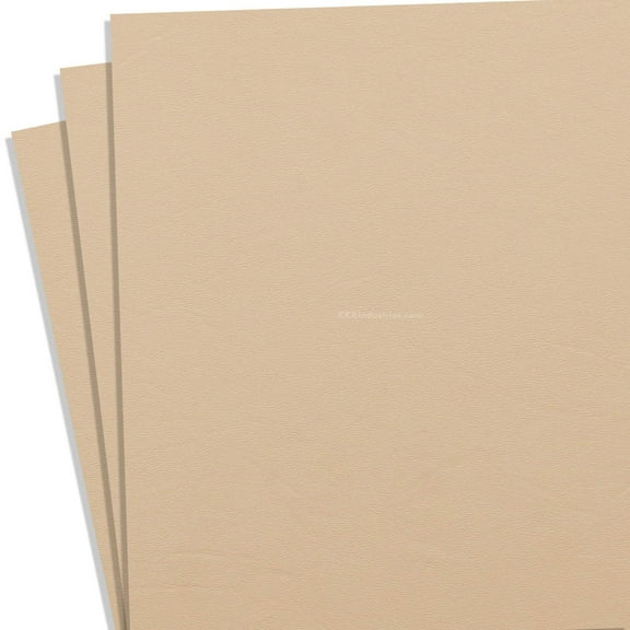 KYDEX Thermoform Sheet - (P1 Texture) - (.060 Thickness) - (12in x 24in) - (Desert Tan) - (3 Sheets) - DIY Holster Making, Airsoft Armor, Cosplay Uniforms