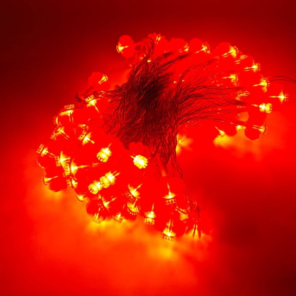 KYMY 2026 Chinese & Vietnamese New Year Red Lantern String Lights Set, 9.8ft/3M 20 LED Lanterns Lamps, Battery Operated Fu Character Night Lights for Asian Spring Festival Lunar New Year Decoration