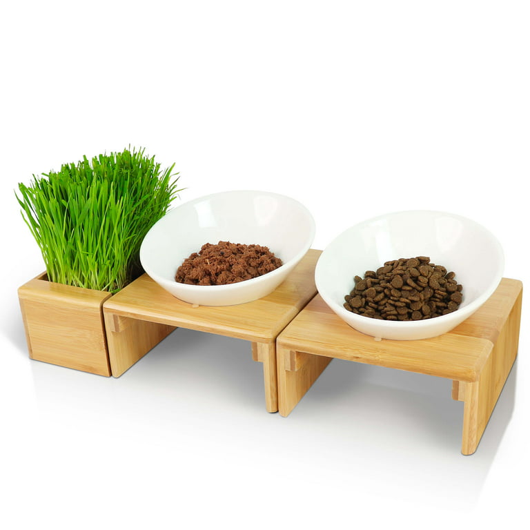 Cat Bowl for Food and Water - Elevated Dog Bowls with Stand