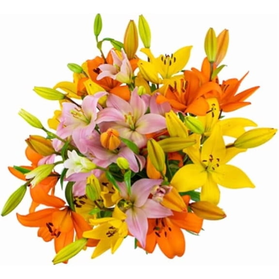 KaBloom : 10 Rainbow lilies with Vase, Next-Day Delivery, Gift for Every Occasion.