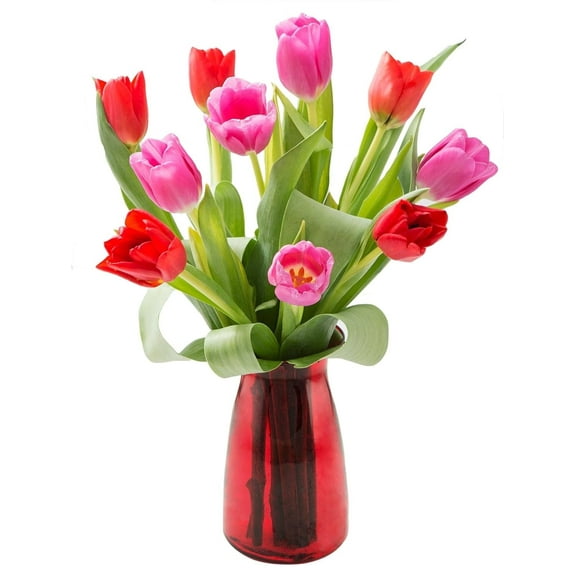 KaBloom: 10 Red and Pink Tulips in a Vase, Next-Day Delivery, Gift for Every Occasion.
