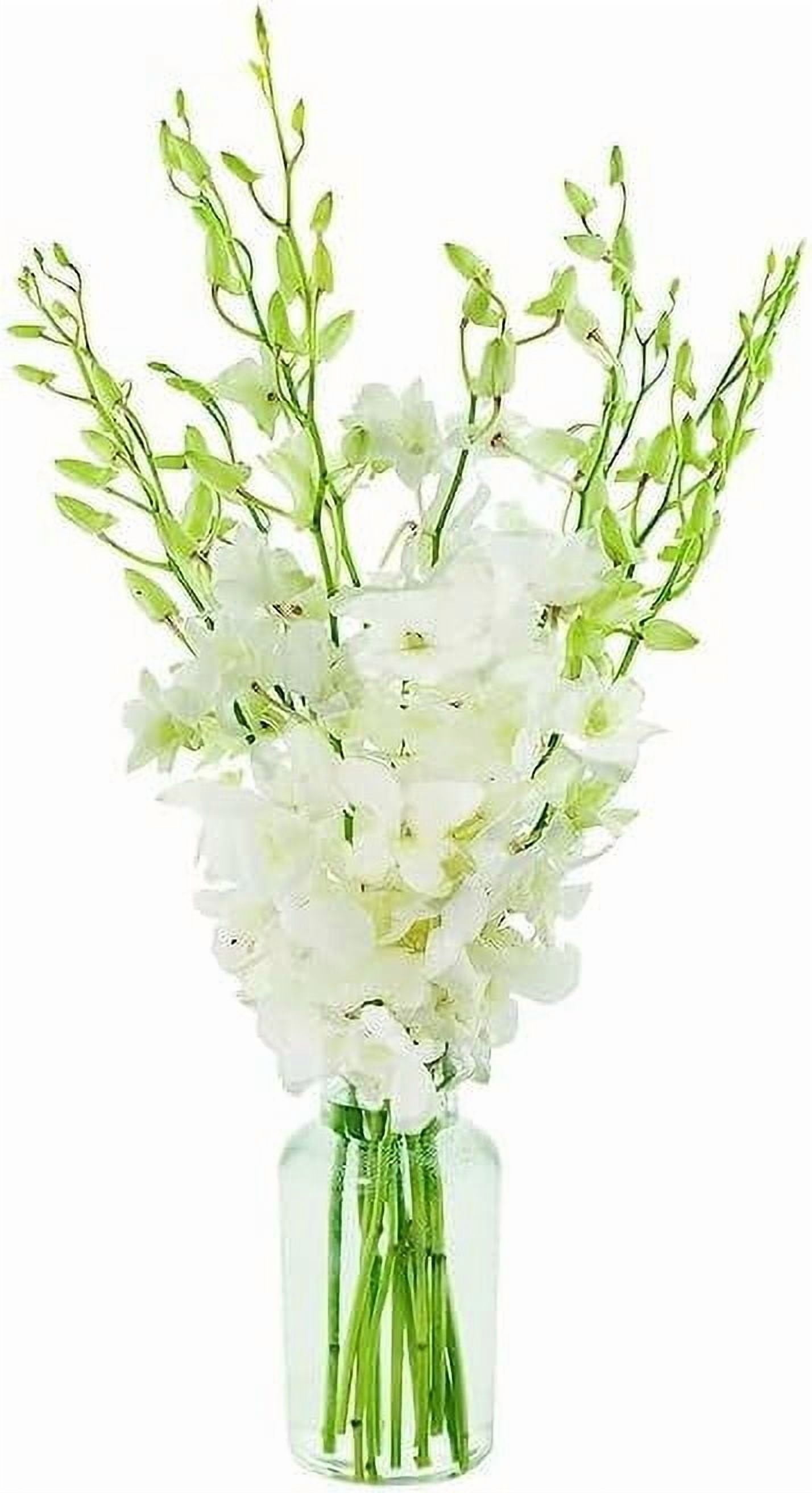 KaBloom 10 White Dendrobium Orchids, Next-Day Delivery