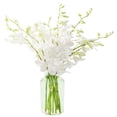 thumbnail image 1 of KaBloom : Bouquet of 10 White Orchid with Vase, Next-Day Delivery, Gift for Every Occasion., 1 of 3