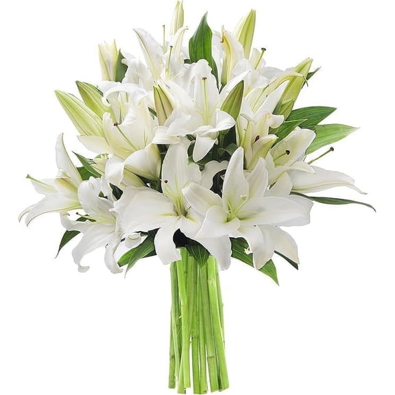 KaBloom : 10 White Lilies, Next-Day Delivery, Gift for Every Occasion.