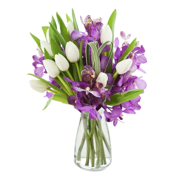 KaBloom : 10 White Tulips, 5 Purple Orchids, 3 Greens in Vase, Next-Day Delivery.
