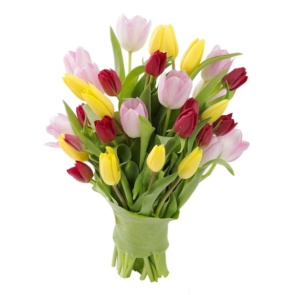 KaBloom : 10 Yellow Tulips, 10 Pink Tulips, 10 Red Tulips Next-Day Delivery, Gift for Every Occasion.