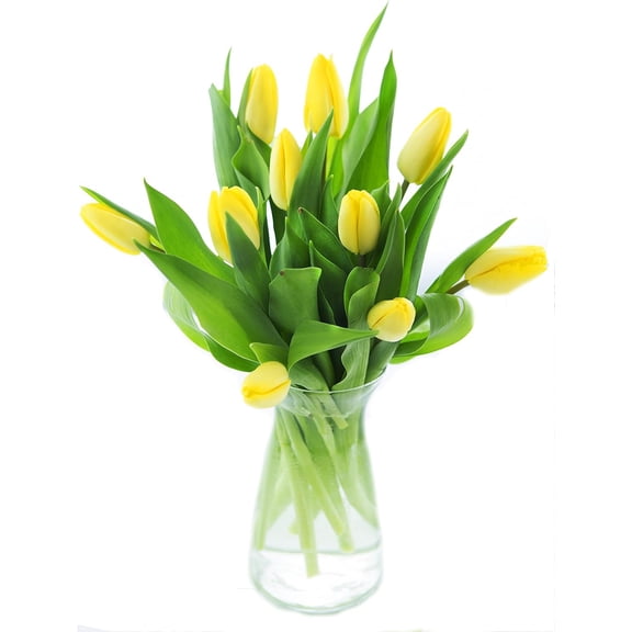 KaBloom: 10 Yellow Tulips, Next-Day Delivery, Gift for Every Occasion.
