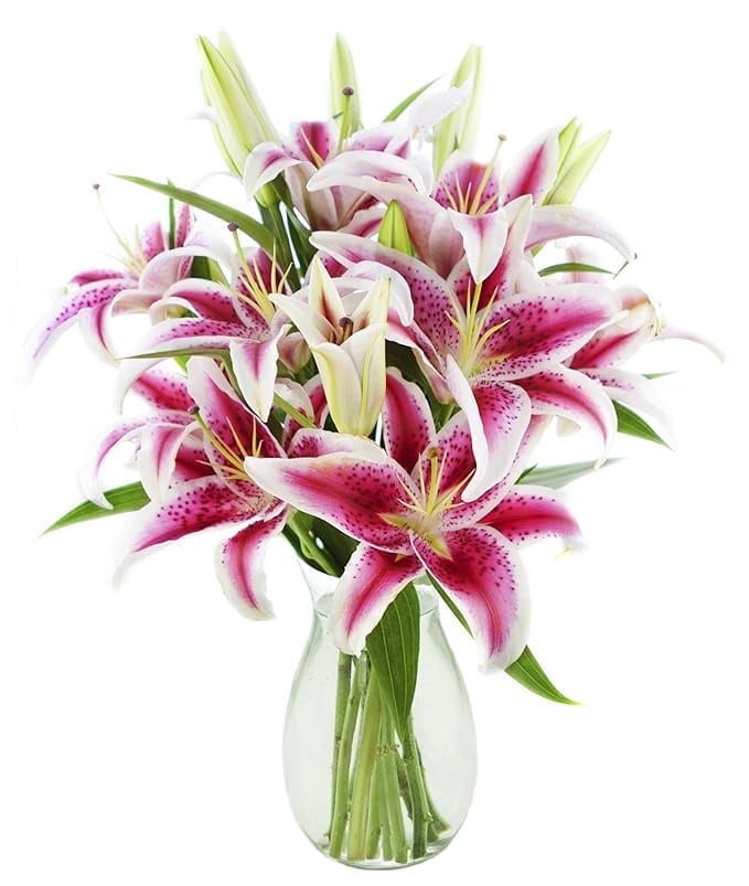 KaBloom : 10 stargazer lilies with greens in vase, Next-Day Delivery, Gift for Every Occasion.