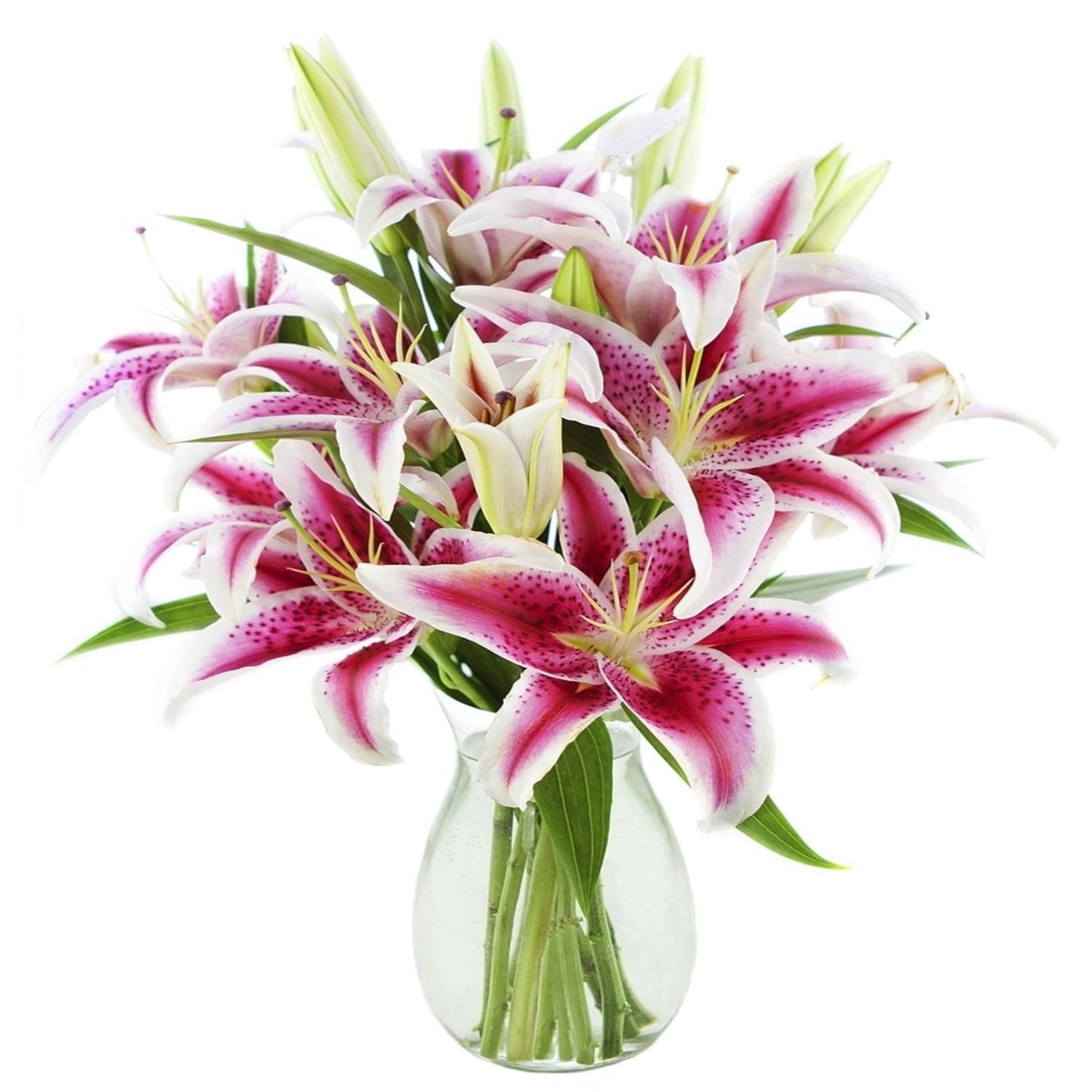 Kabloom 10 Stargazer Lilies with Greens in Vase