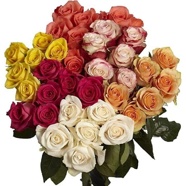 KaBloom : Bulk 100 Fresh cut Assorted Roses, Next-Day Delivery, Gift for Every Occasion.