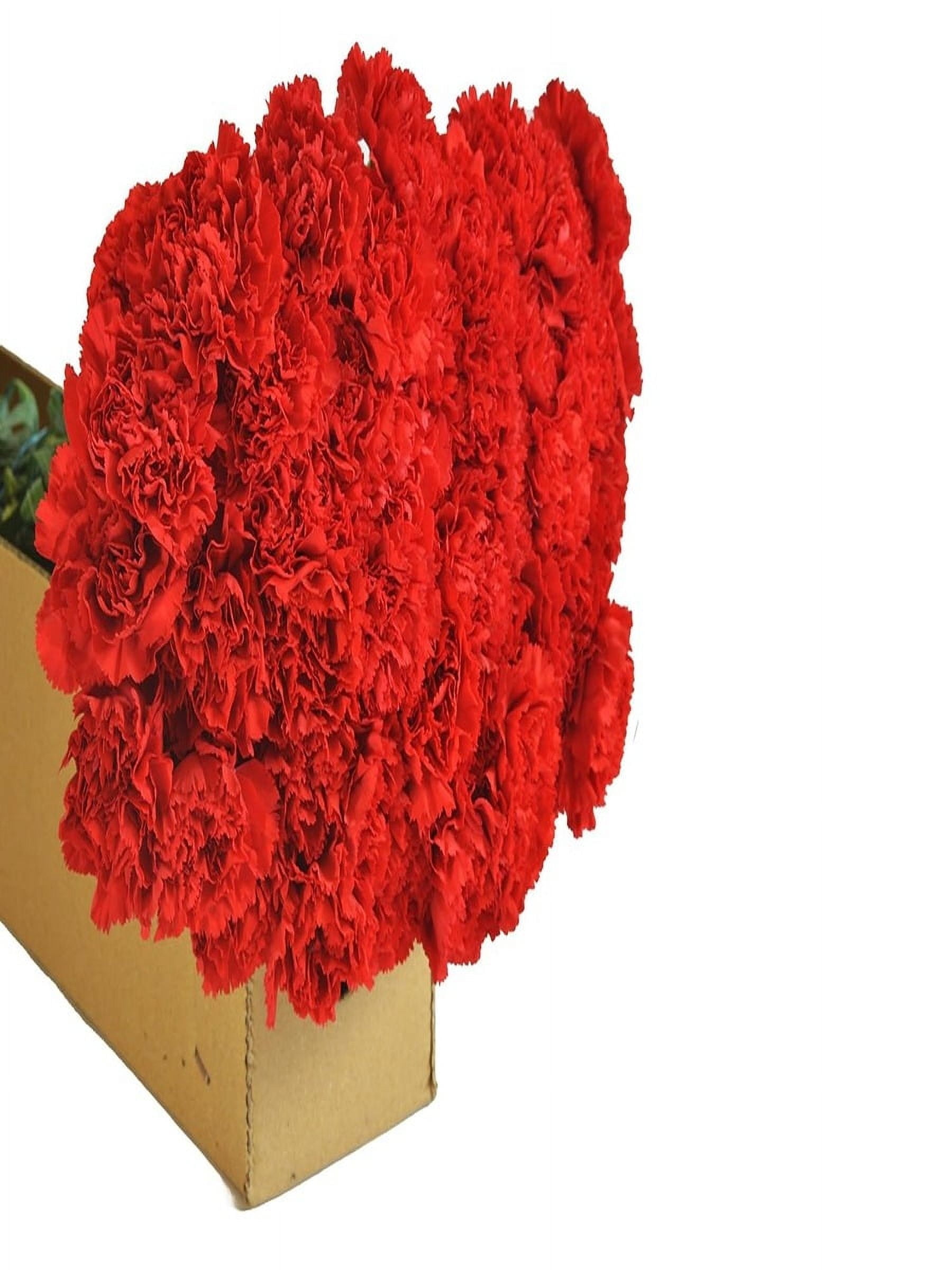 KaBloom :100 Red Carnation, Next-Day Delivery, Gift for Every Occasion.