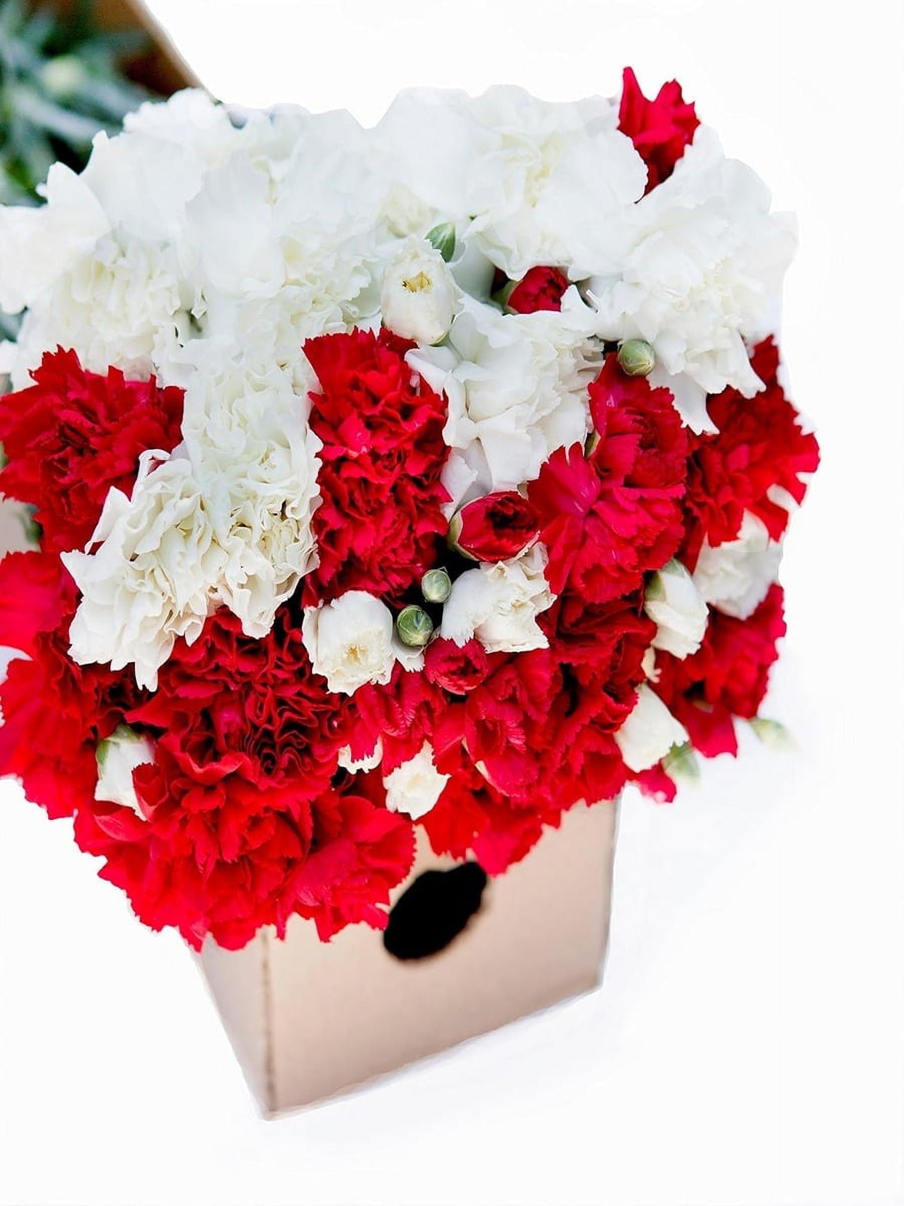 KaBloom :100 Red and White Carnation Next-Day Delivery, Gift for Every Occasion.
