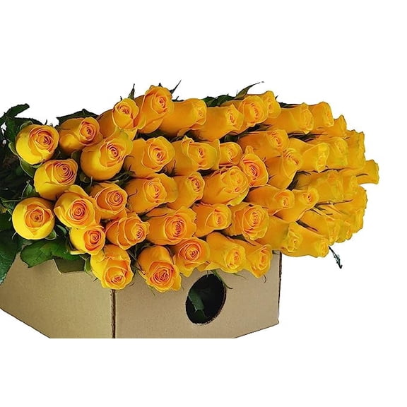 KaBloom :100 Yellow Roses, Next-Day Delivery, Gift for Every Occasion.