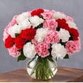 thumbnail image 1 of KaBloom: 12 Assorted Carnation vase, Next-Day Delivery, Gift for Every Occasion., 1 of 4