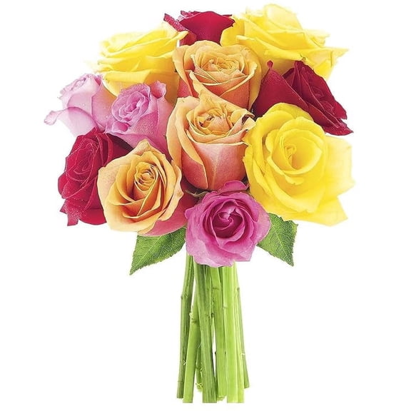 KaBloom : 12 Assorted Roses with Lush Greens, Next-Day Delivery, Gift for Every Occasion.