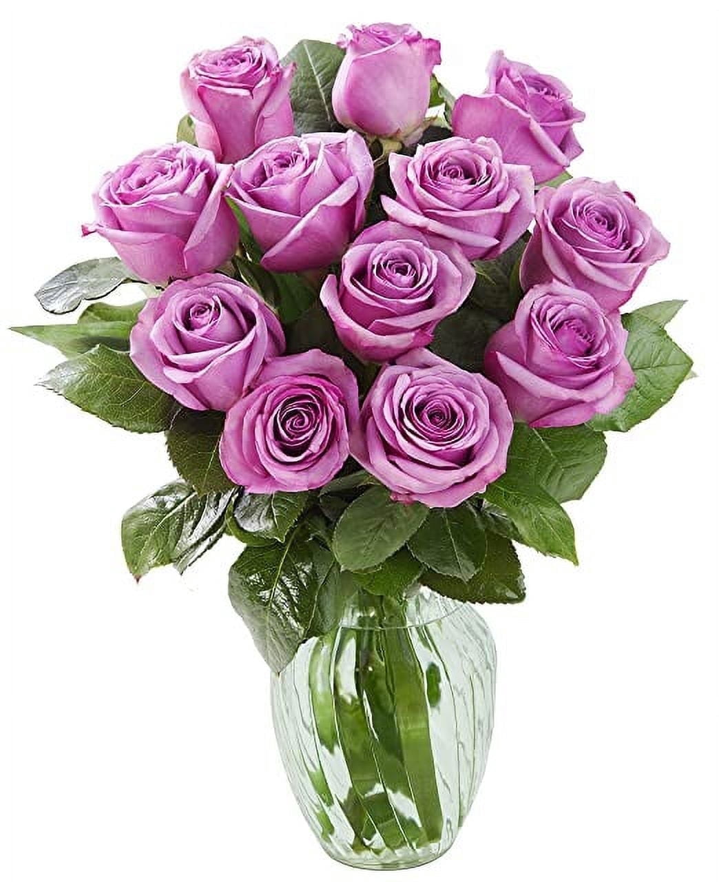 KaBloom : 12 Lavender Roses, 3 Greens with vase, Next-Day Delivery ...