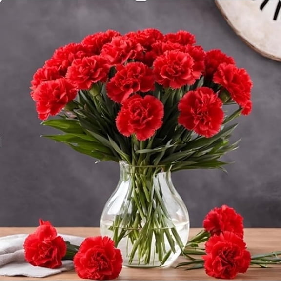 KaBloom: 12 Red Carnation vase, Next-Day Delivery, Gift for Every Occasion.