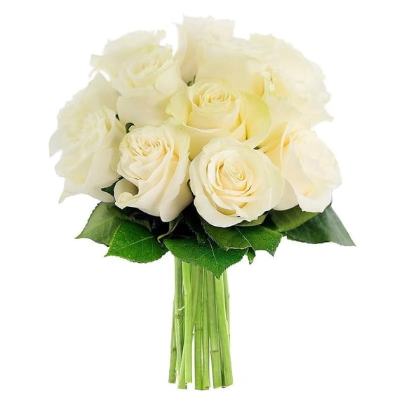 KaBloom : 12 White Roses, 3 Greens, Next-Day Delivery, Gift for Every Occasion.