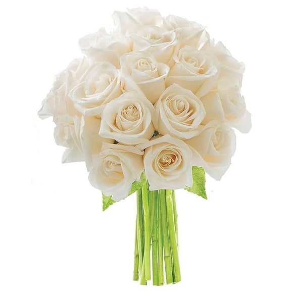 KaBloom : 18 White Roses, 3 Greens, Next-Day Delivery, Gift for Every Occasion.