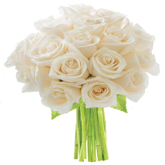 KaBloom: 18 White Roses, Next-Day Delivery, Gift for Every Occasion.