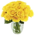 thumbnail image 1 of KaBloom: 18 Yellow Roses in vase, Next-Day Delivery, Gift for Every Occasion., 1 of 6
