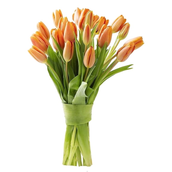 KaBloom :20 Orange Tulips , Next-Day Delivery, Gift for Every Occasion.