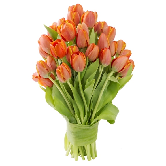 KaBloom : 20 Orange Tulips, Next-Day Delivery, Gift for Every Occasion