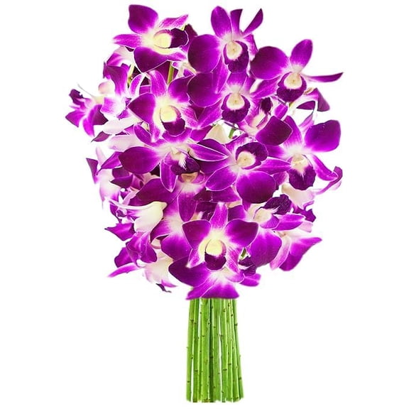 KaBloom : 20 Purple Orchids without vase, Next-Day Delivery, Gift for Every Occasion.